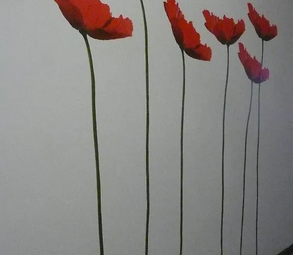Certe Notti *