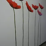 Certe Notti *